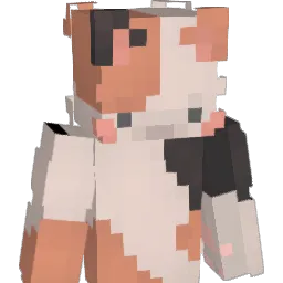 2phonehoe