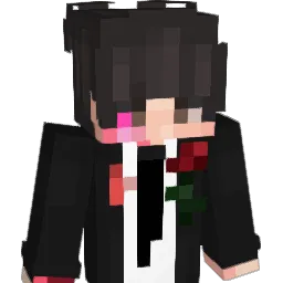2san_ Minecraft avatar bust
