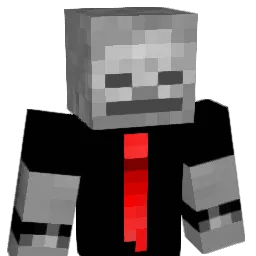 2x_vibes Minecraft avatar bust