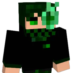 2xxdm Minecraft avatar bust
