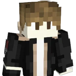 3116277953 Minecraft avatar bust