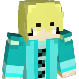 331331 Minecraft avatar bust