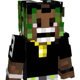 333POV Minecraft avatar bust