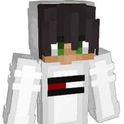 334725495221231 Minecraft avatar bust