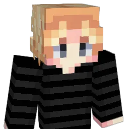 33wyguss Minecraft avatar bust