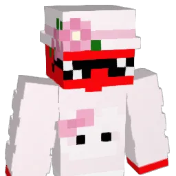 _CRZ's skin