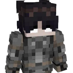 Playerdestroy's skin