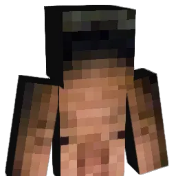 35456dude Minecraft avatar bust