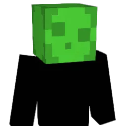 365tuj Minecraft avatar bust