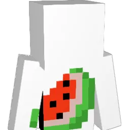 3WIK800 Minecraft avatar bust