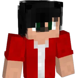 3eme1ka Minecraft avatar bust