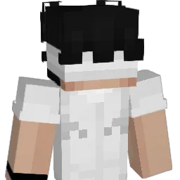 3et_ Minecraft avatar bust