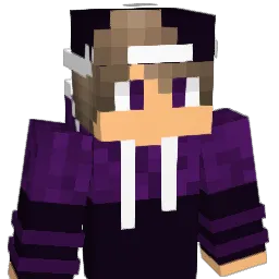 3lectroG31 Minecraft avatar bust