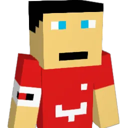 3paddys Minecraft avatar bust