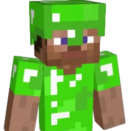 41490219's Minecraft skin