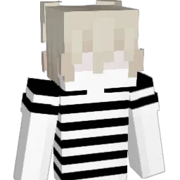 41z_ Minecraft avatar bust