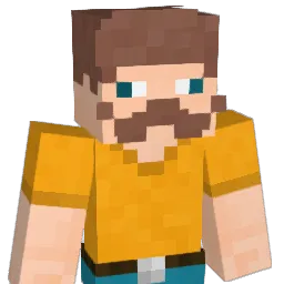 420812 Minecraft avatar bust