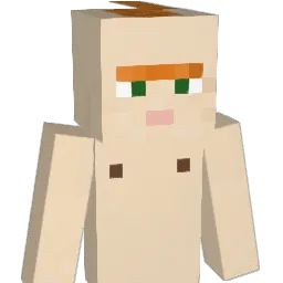 420whynot Minecraft avatar bust