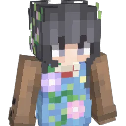 Minecraft-Skin von 43OO
