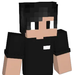 46canhete Minecraft avatar bust