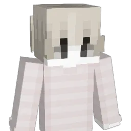 t1mix_'s skin