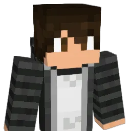 496C Minecraft avatar bust