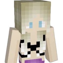 4N4L Minecraft avatar bust