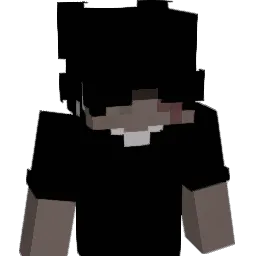 4NH Minecraft avatar bust