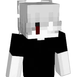 4O60 Minecraft avatar bust
