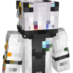 4QFlllk Minecraft avatar bust