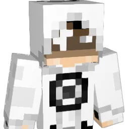 4WS Minecraft avatar bust