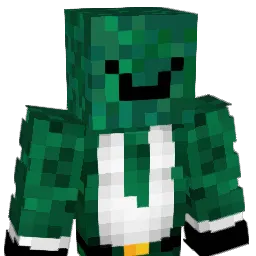 _Splint's skin