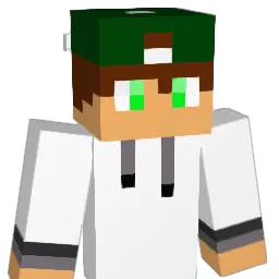 4hs Minecraft avatar bust