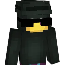 4n0nym0usSqu4d Minecraft avatar bust