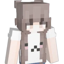 4om Minecraft avatar bust