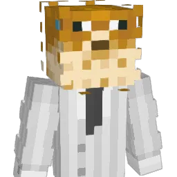 4ourENT Minecraft avatar bust
