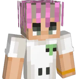 4x2x0 Minecraft avatar bust