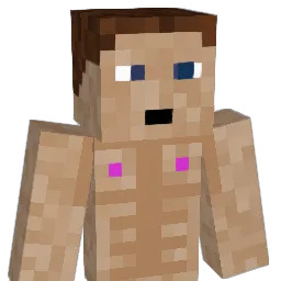 4x9t Minecraft avatar bust