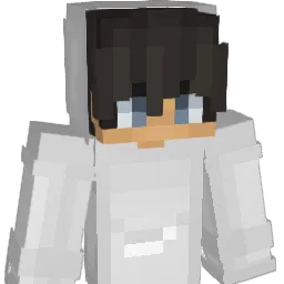 500dom Minecraft avatar bust