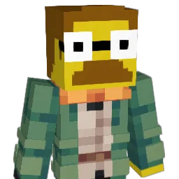 FlandersNed's skin