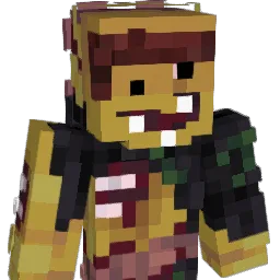 Zolvd's skin