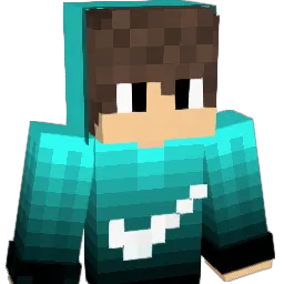 5201arikA Minecraft avatar bust
