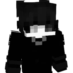 1nv1c1us's skin