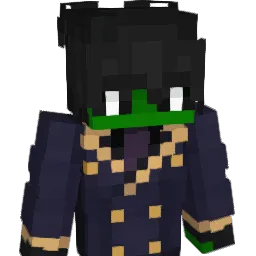 pptip's skin