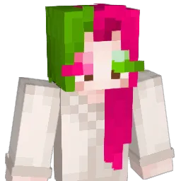 53xyboi Minecraft avatar bust