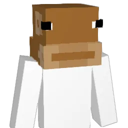 543_ Minecraft avatar bust