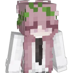 54vy Minecraft avatar bust