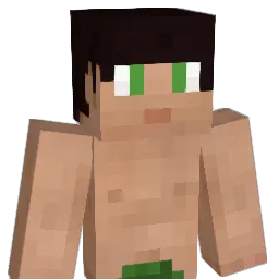 55klbw Minecraft avatar bust