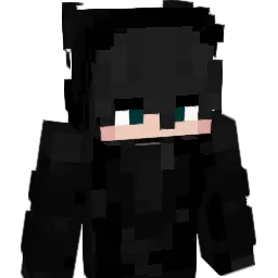 radiusfr's skin
