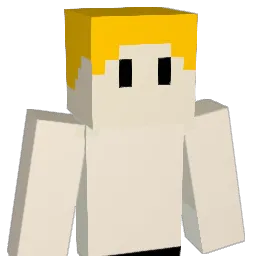 57574747 Minecraft avatar bust